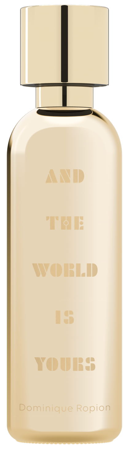 And The World Is Yours: gold mirror body, gold frost print