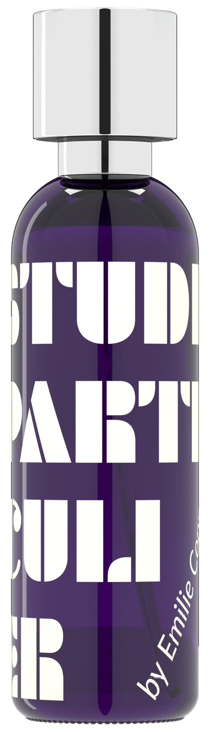 Studio Particulier: deep purple glass, white stencil print